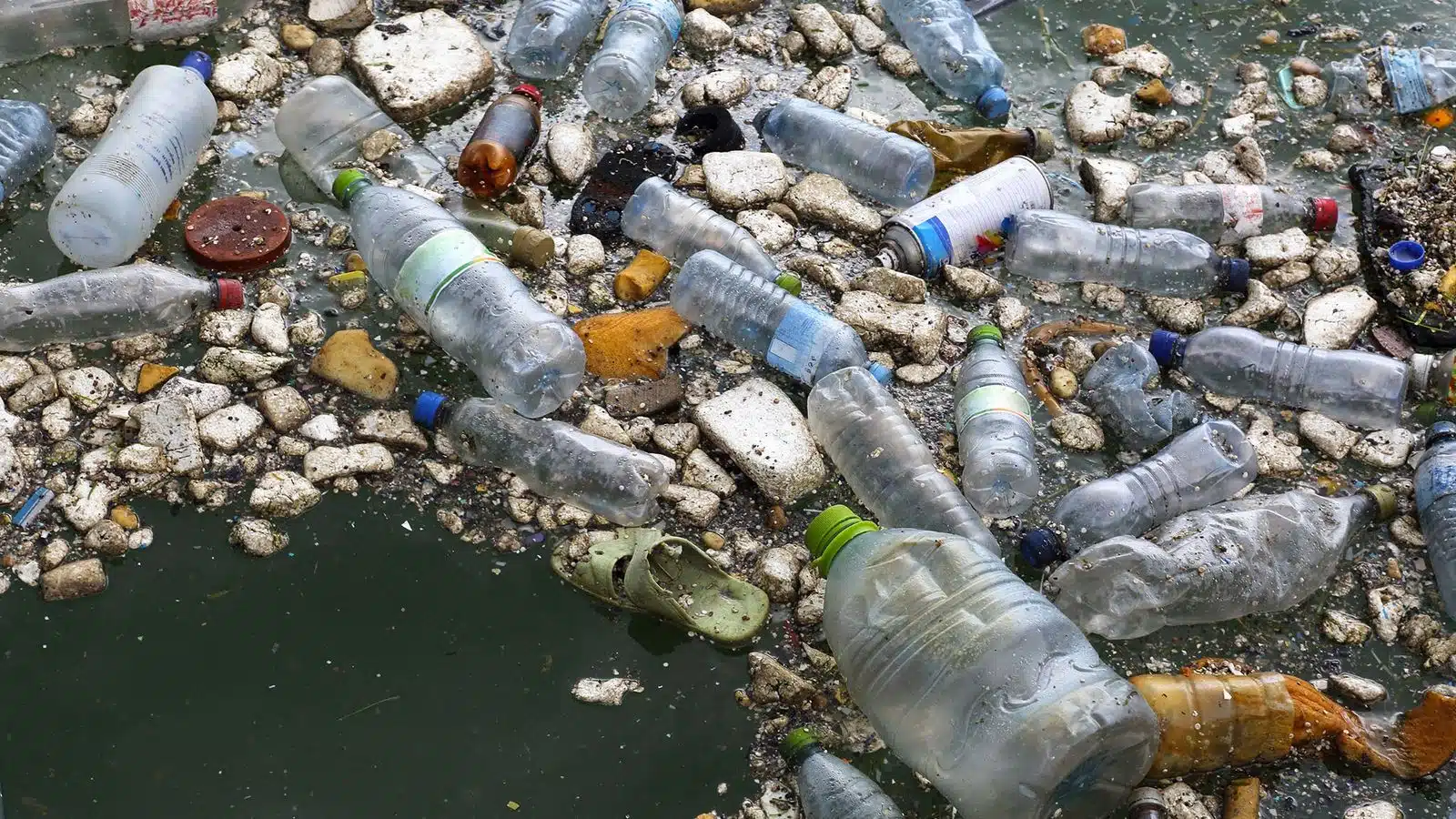 déchets plastiques dans les océans