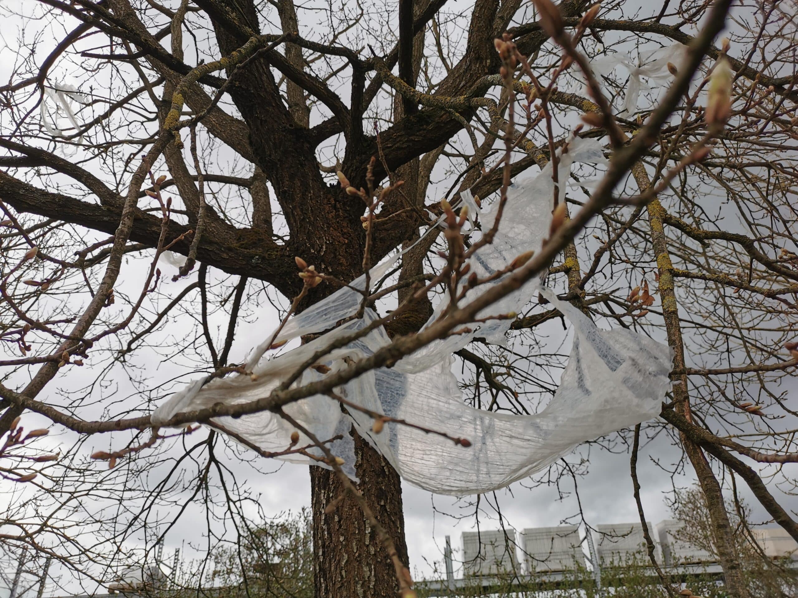 arbre aux plastiques