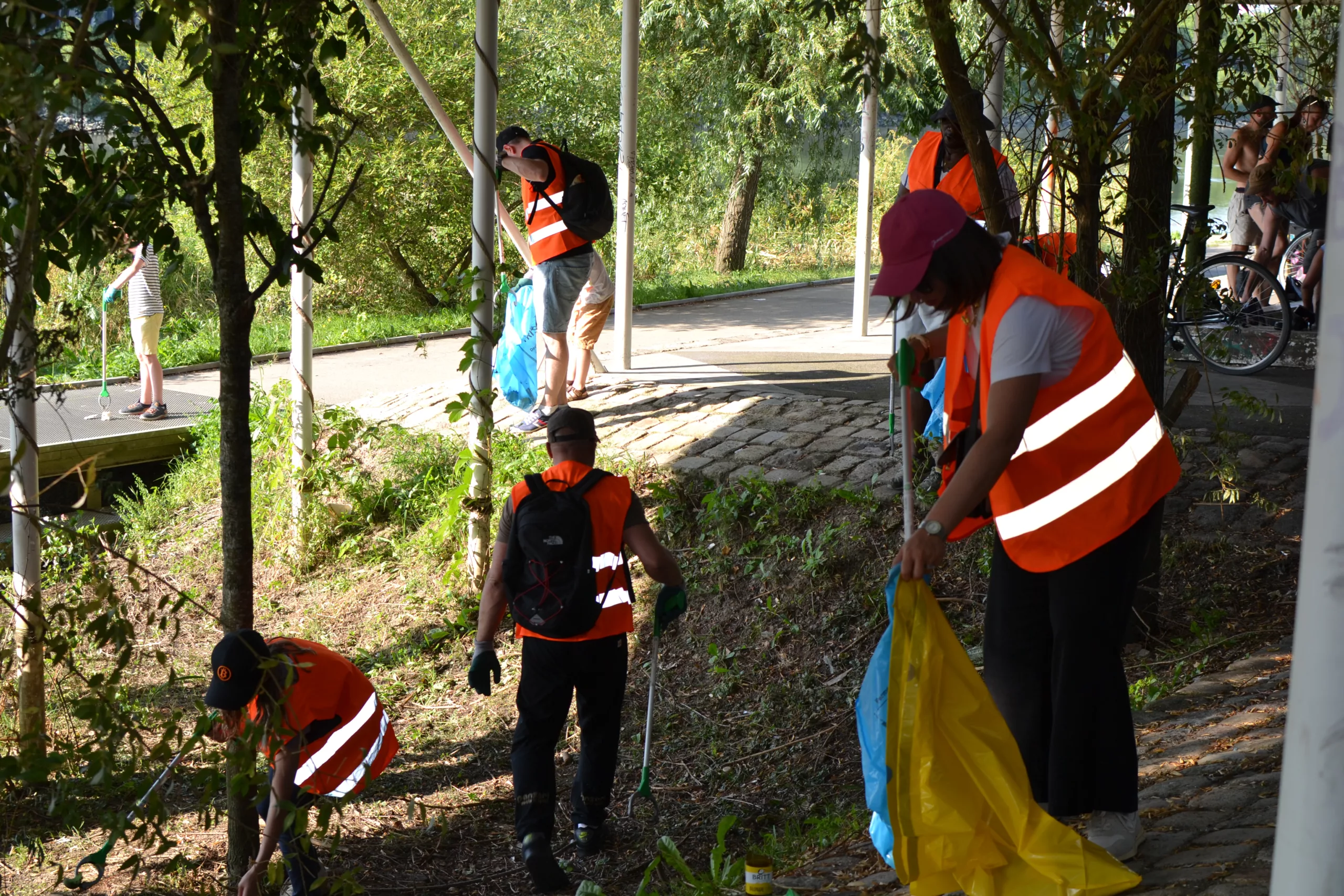 cleanwalk fortil