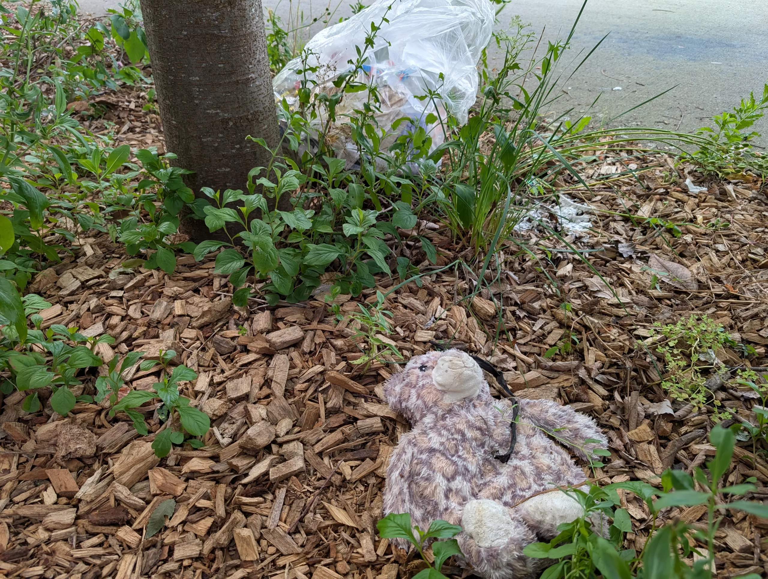 déchet nounours