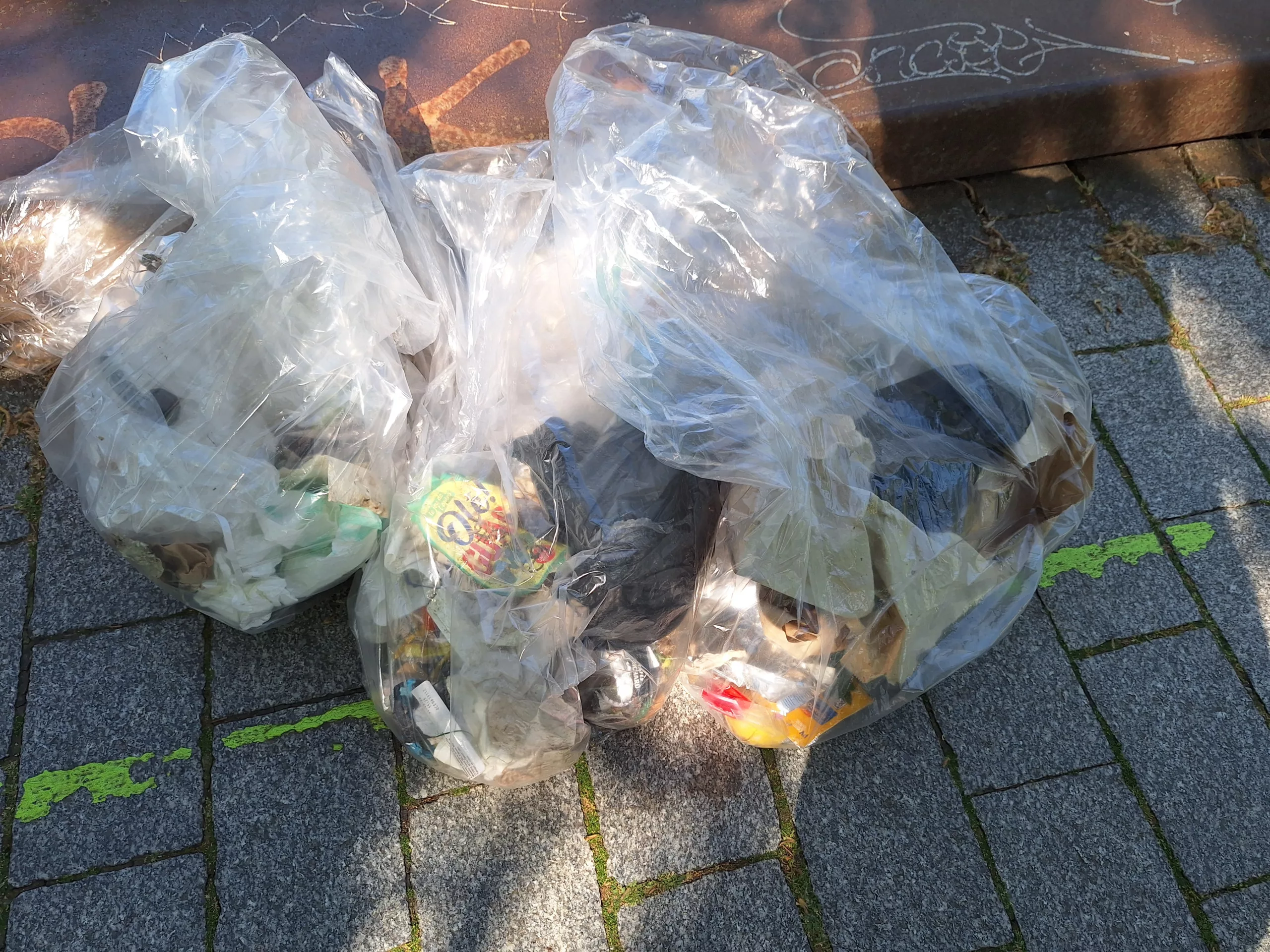 éducation environnementale enfants